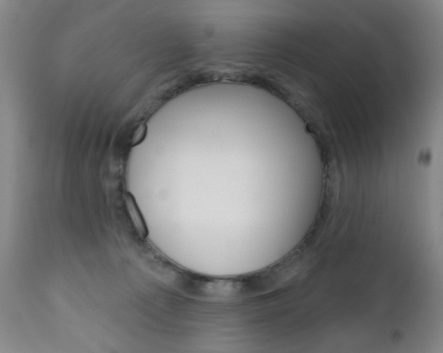 X0000111180225200907011040