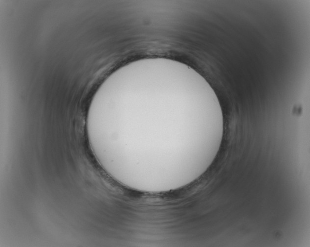 X0000111180228200907011040