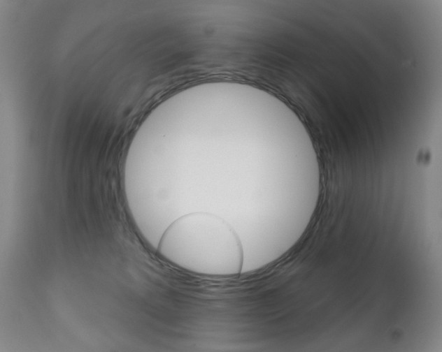 X0000111180229200907011039