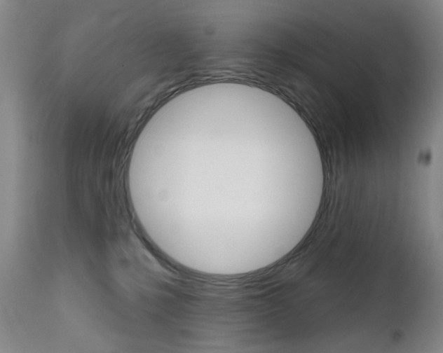 X0000111180231200907011039