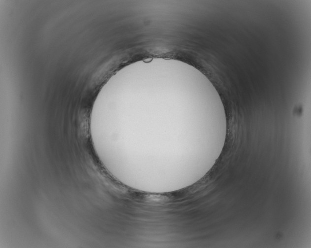 X0000111180234200907011039