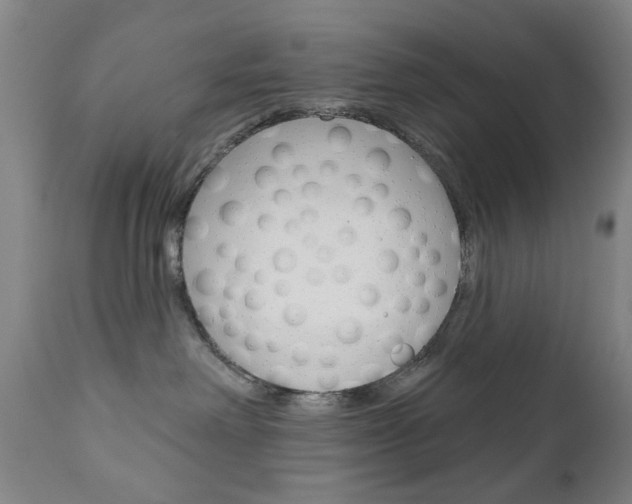 X0000111180238200907011039