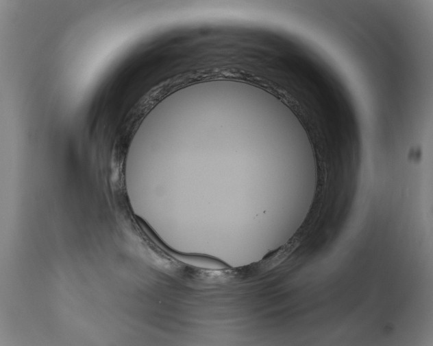 X0000111180239200907011039