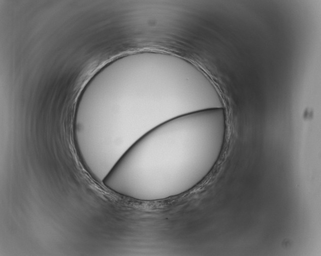 X0000111180241200907011038
