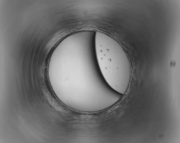 X0000111180242200907011038