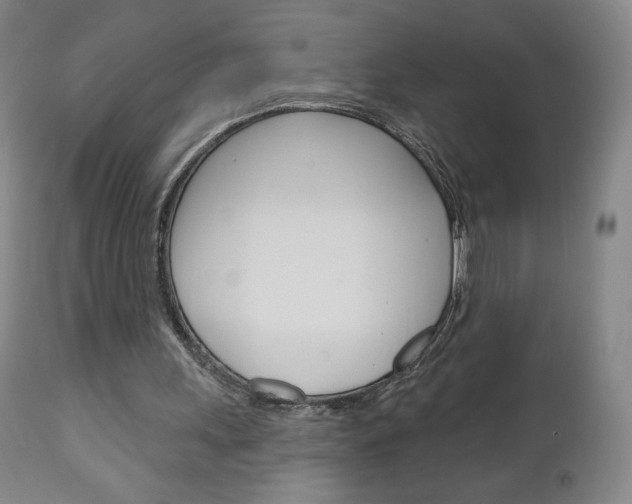 X0000111180243200907011038