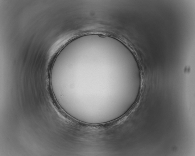 X0000111180245200907011038