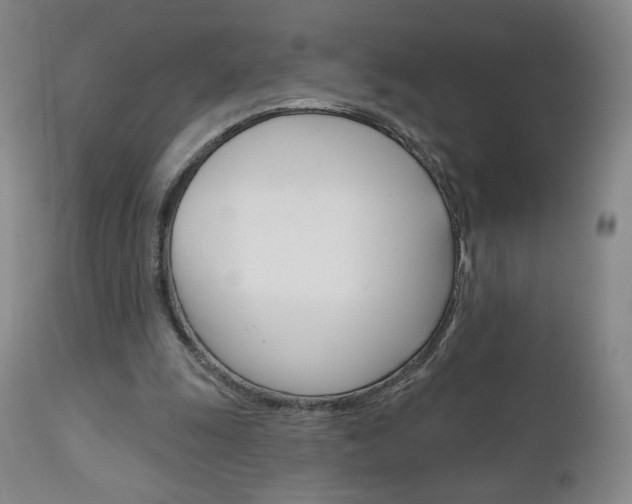 X0000111180247200907011038