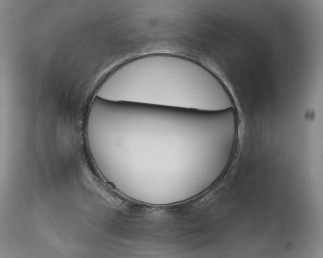 X0000111180249200907011038