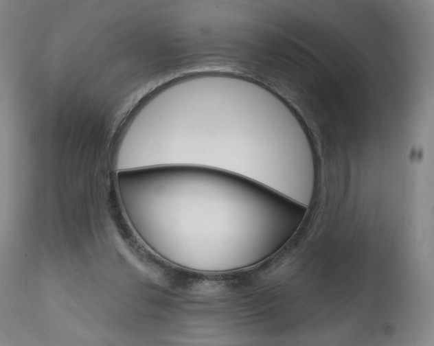 X0000111180252200907011038
