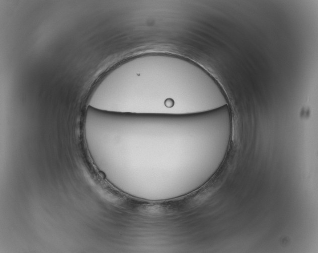 X0000111180253200907011038