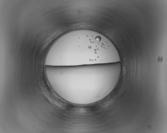 X0000111180254200907011038