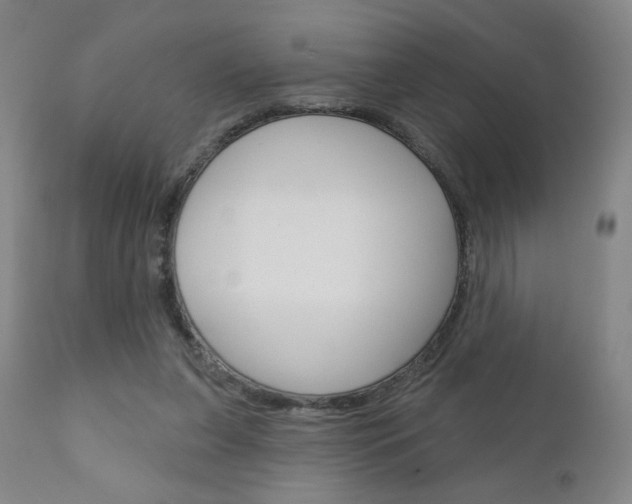 X0000111180255200907011039