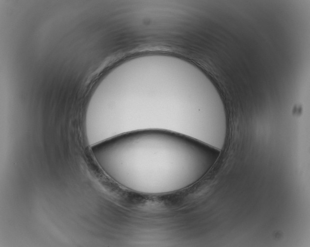 X0000111180256200907011039