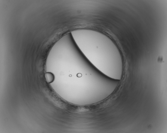 X0000111180257200907011039