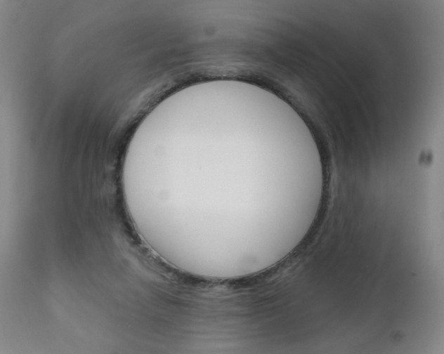 X0000111180258200907011039