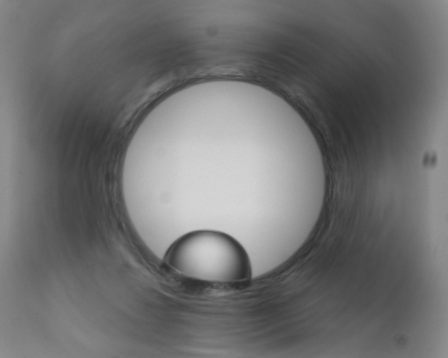 X0000111180260200907011039