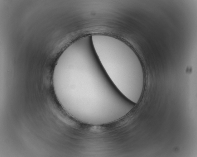 X0000111180261200907011039