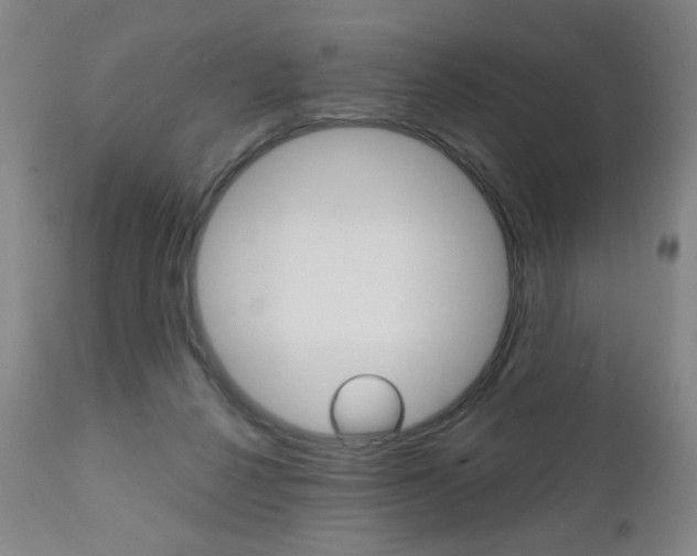 X0000111180264200907011039