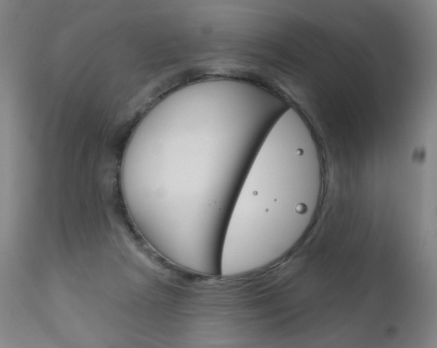 X0000111180265200907011039