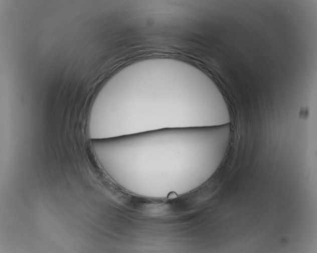 X0000111180266200907011039