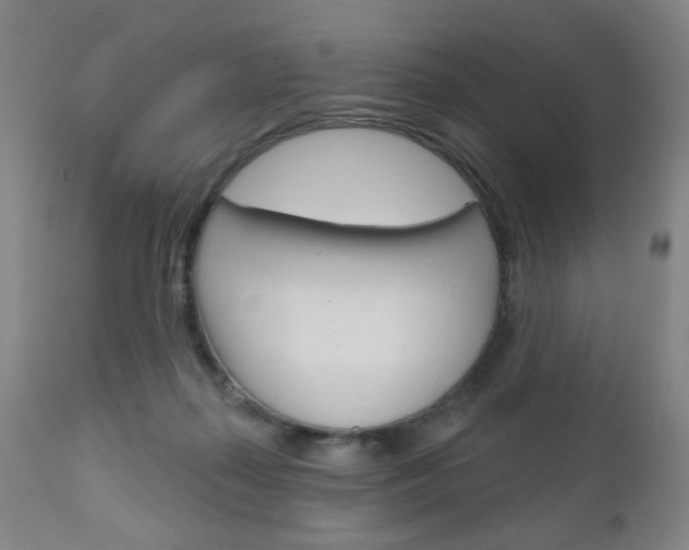 X0000111180267200907011039