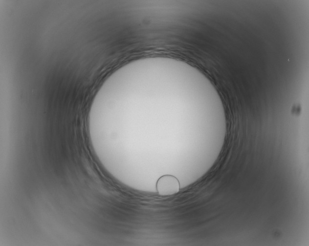 X0000111180272200907011039