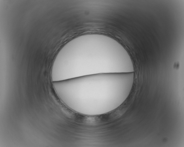 X0000111180277200907011039
