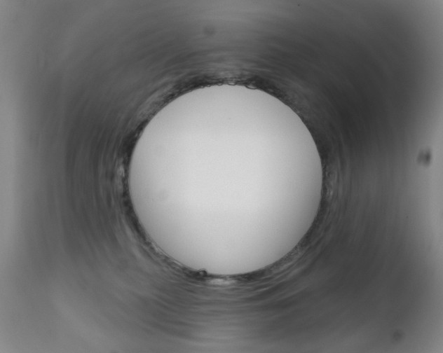 X0000111180279200907011039