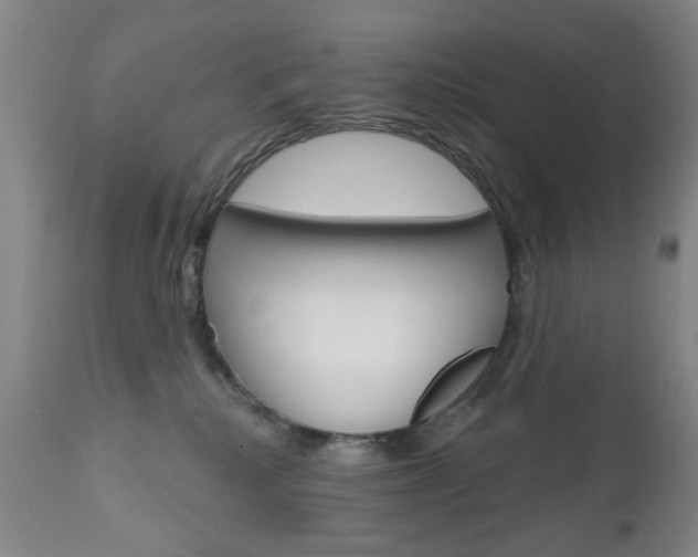 X0000111180280200907011039