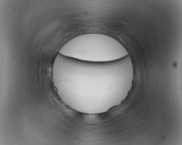 X0000111180281200907011039