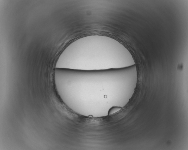 X0000111180282200907011039
