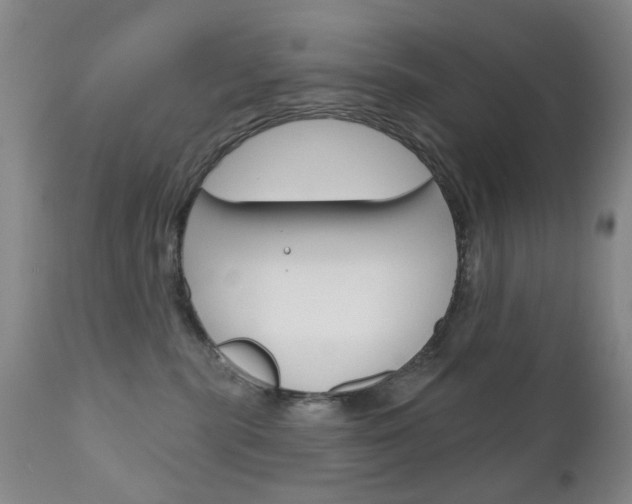 X0000111180283200907011039