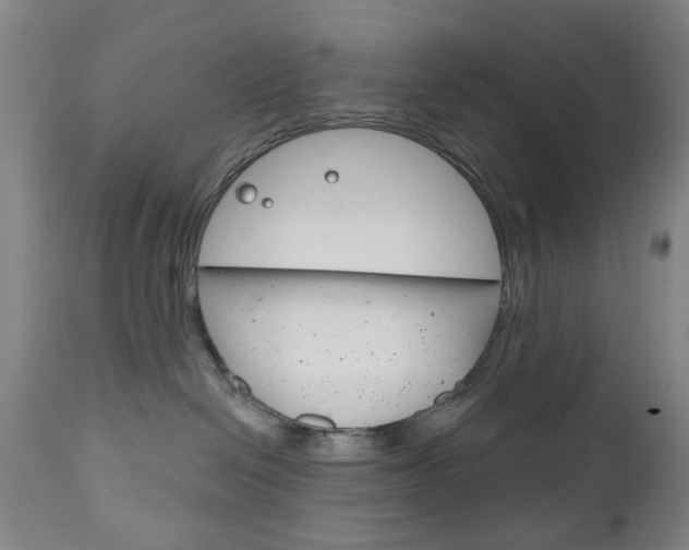 X0000111180286200907011039