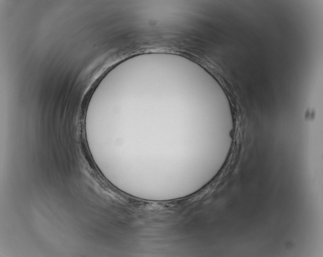 X0000111180290200907011038
