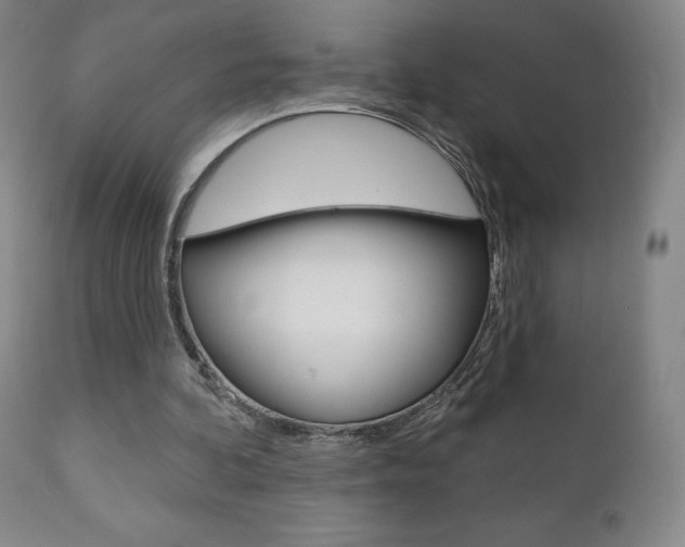X0000111180292200907011038