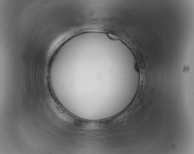 X0000111180293200907011038