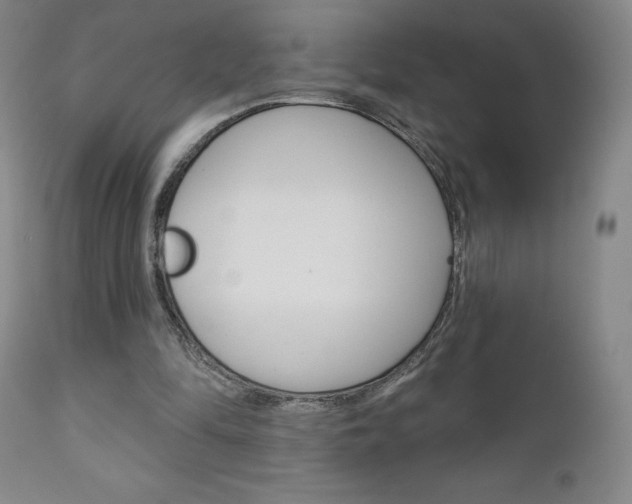 X0000111180294200907011038
