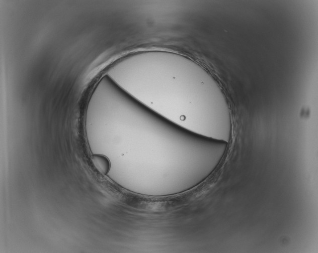 X0000111180295200907011038