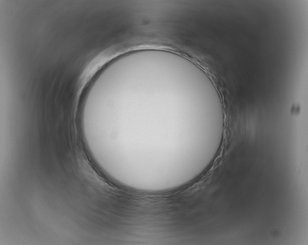 X0000111180296200907011038