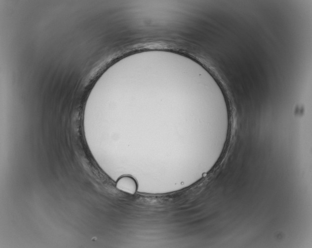 X0000111180297200907011038