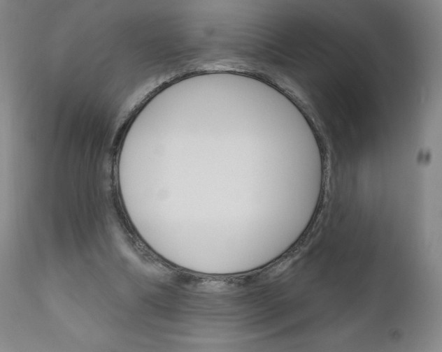 X0000111180298200907011038