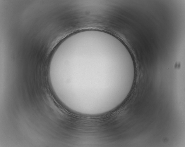 X0000111180299200907011038