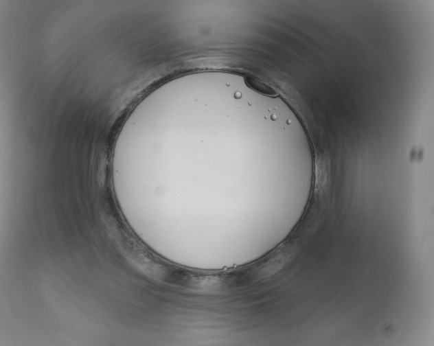 X0000111180301200907011038