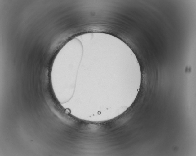 X0000111180302200907011038
