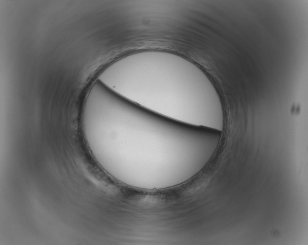 X0000111180303200907011038