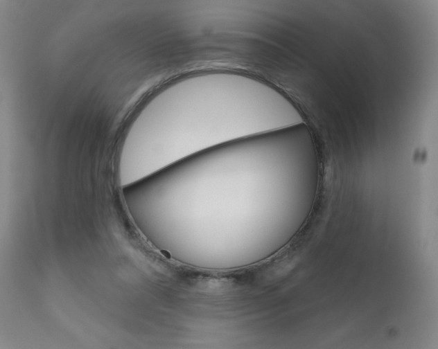 X0000111180304200907011038