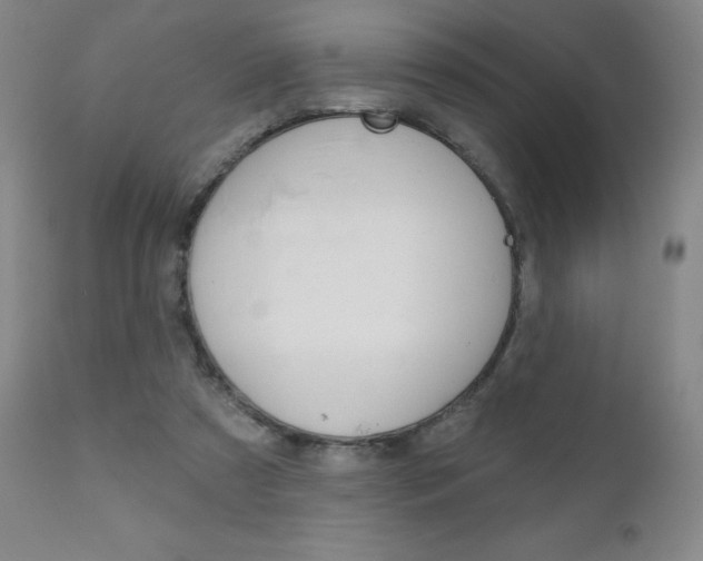 X0000111180305200907011038