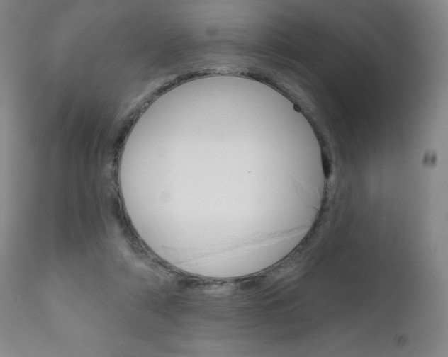 X0000111180306200907011038