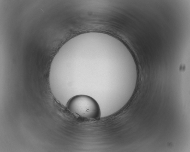 X0000111180307200907011038